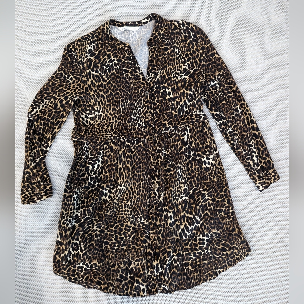Zara Dress